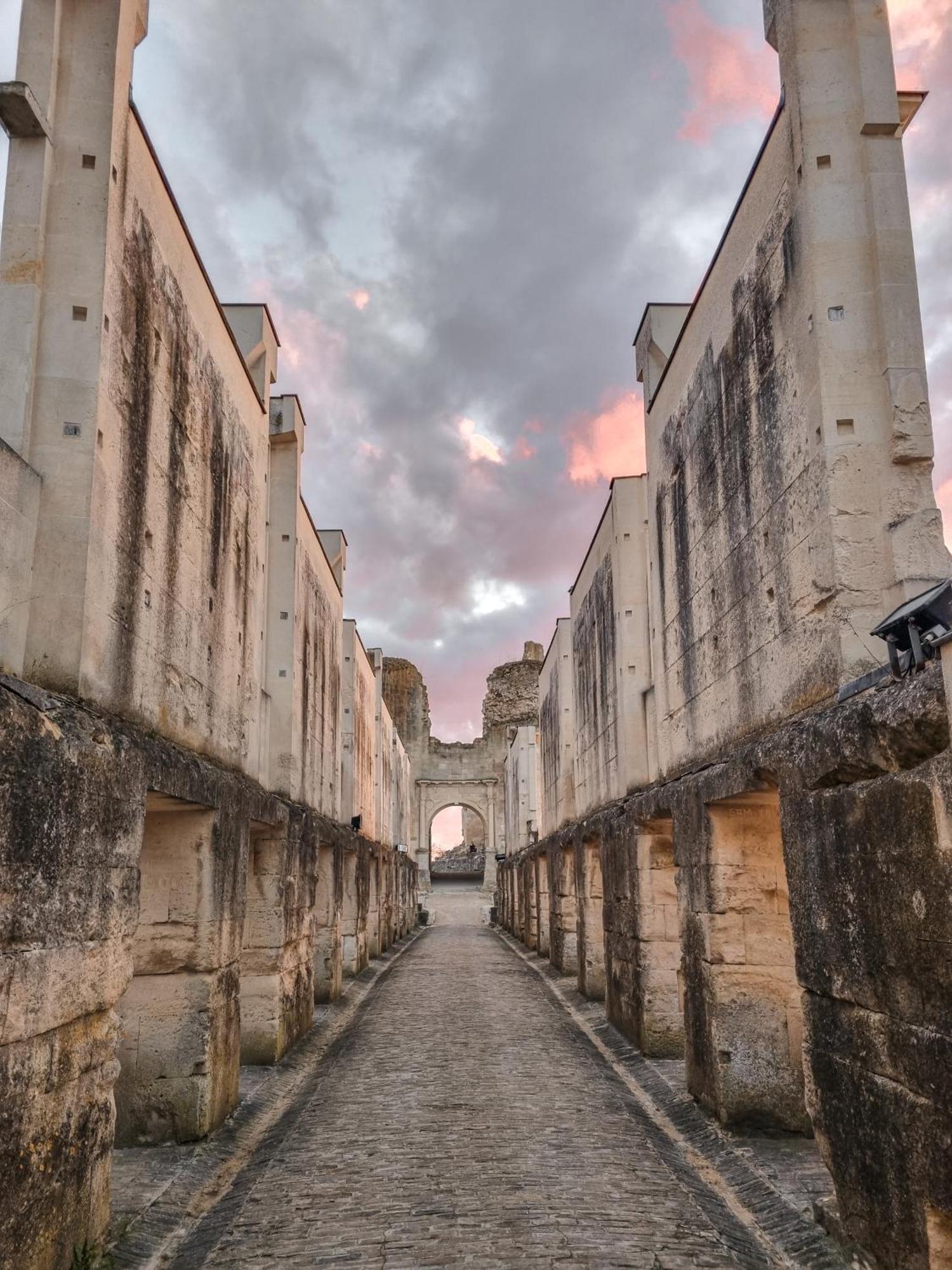 Chateau De Fere Fère-en-Tardenois Exterior foto