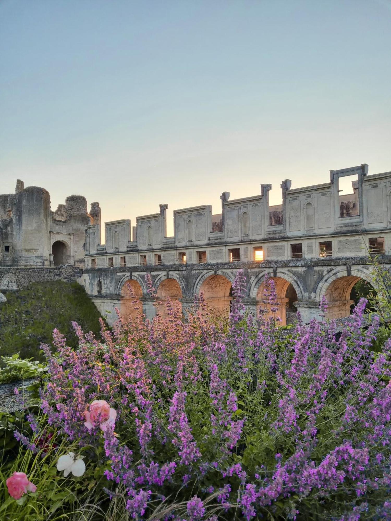 Chateau De Fere Fère-en-Tardenois Exterior foto